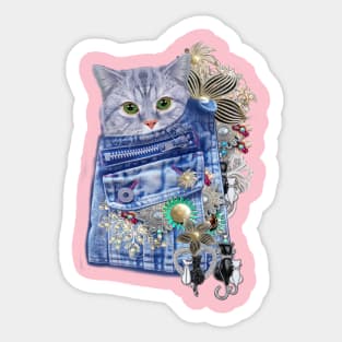 Blue Denim, lace - Costume Jewelry & Cute kitten Sticker